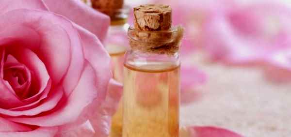 beneficios del aceite de rosa mosqueta