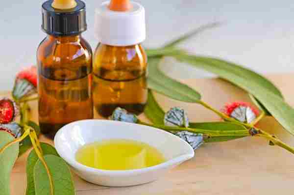 beneficios aceite de eucalipto